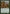 Dense Canopy [Saviors of Kamigawa] - Magic: The Gathering - Card Brawlers | Quebec | Canada |