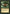 Evil Eye of Orms-by-Gore [Legends] - Magic: The Gathering - Card Brawlers | Quebec | Canada |