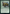 Ram Through [Game Night: Free-for-All] - Magic: The Gathering - Card Brawlers | Quebec | Canada |
