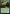 Fertile Thicket [Duel Decks: Nissa vs. Ob Nixilis] - Magic: The Gathering - Card Brawlers | Quebec | Canada |