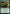 Caldaia Guardian (Promo Pack) [Streets of New Capenna Commander Promos] - Magic: The Gathering - Card Brawlers | Quebec | Canada |