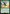 Cactuar [FINAL FANTASY] - Magic: The Gathering - Card Brawlers | Quebec | Canada |