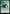 Hunter's Bow [Assassin's Creed] - Magic: The Gathering - Card Brawlers | Quebec | Canada |