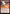 Overwhelming Surge [Tarkir: Dragonstorm] - Magic: The Gathering - Card Brawlers | Quebec | Canada |