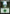 Forest (75) [Jumpstart] - Magic: The Gathering - Card Brawlers | Quebec | Canada |