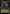 Mysterious Stranger (Showcase) (Surge Foil) [Fallout] - Magic: The Gathering - Card Brawlers | Quebec | Canada |