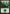 Forest (306) [Ravnica: City of Guilds] - Magic: The Gathering - Card Brawlers | Quebec | Canada |