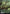 Cragcrown Pathway // Timbercrown Pathway (Borderless Alternate Art) [Zendikar Rising] - Magic: The Gathering - Card Brawlers | Quebec | Canada |