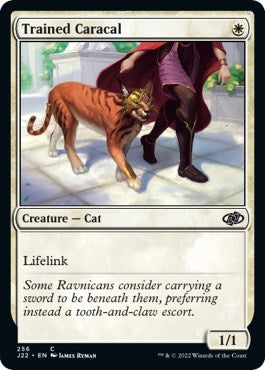 Trained Caracal [Jumpstart 2022] - Magic: The Gathering - Card Brawlers | Quebec | Canada |