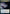 Extract Brain (Extended Art) [Dungeons & Dragons: Adventures in the Forgotten Realms Commander] - Magic: The Gathering - Card Brawlers | Quebec | Canada |