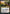 Nicol Bolas, the Ravager // Nicol Bolas, the Arisen [Judge Gift Cards 2021] - Magic: The Gathering - Card Brawlers | Quebec | Canada |
