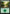 Forest (309) [Commander Anthology Volume II] - Magic: The Gathering - Card Brawlers | Quebec | Canada |