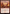 Fire Nation's Conquest (0281) [Avatar: The Last Airbender: Eternal-Legal] - Magic: The Gathering - Card Brawlers | Quebec | Canada |