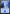 Island (292) [Commander 2019] - Magic: The Gathering - Card Brawlers | Quebec | Canada |