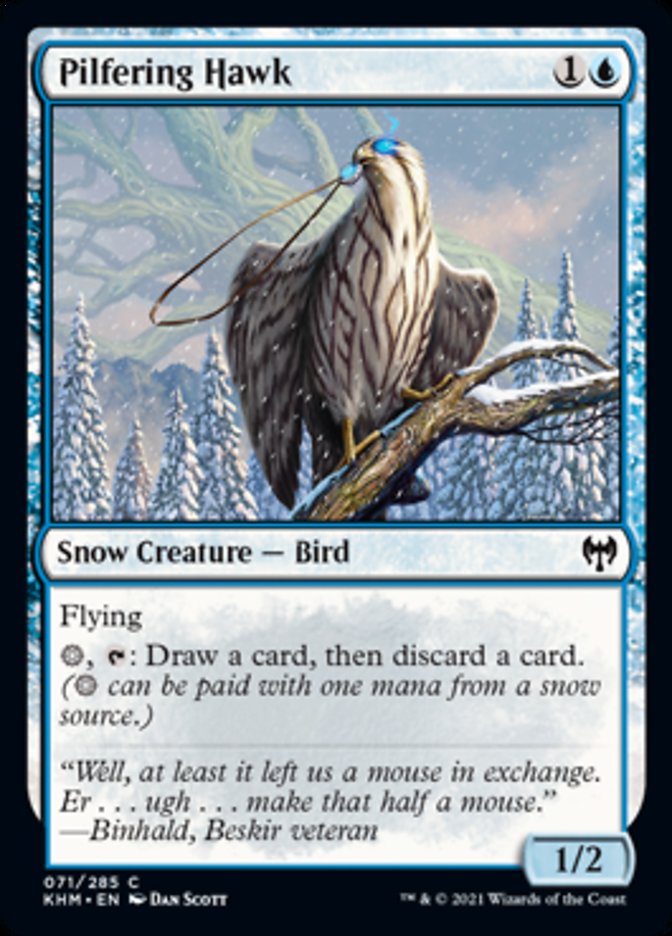 Pilfering Hawk [Kaldheim] - Magic: The Gathering - Card Brawlers | Quebec | Canada |