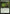 Seal of Primordium [Modern Masters 2017] - Magic: The Gathering - Card Brawlers | Quebec | Canada |