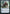 Ellywick Tumblestrum (Ampersand Promo) [Dungeons & Dragons: Adventures in the Forgotten Realms Promos] - Magic: The Gathering - Card Brawlers | Quebec | Canada |