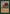 Mortal Wound [Visions] - Magic: The Gathering - Card Brawlers | Quebec | Canada |