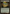 Vivid Grove [Secret Lair: From Cute to Brute] - Magic: The Gathering - Card Brawlers | Quebec | Canada |