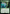 Birds of Paradise [The Lord of the Rings: Tales of Middle-Earth Commander] - Magic: The Gathering - Card Brawlers | Quebec | Canada |
