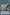 Curse Reflection Doll [BLCR-EN023] Ultra Rare - Yu-Gi-Oh! - Card Brawlers | Quebec | Canada |