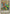 Left Leg of the Forbidden One [BLCR-EN103] Starlight Rare - Yu-Gi-Oh! - Card Brawlers | Quebec | Canada |