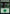 Forest (297) [30th Anniversary Edition] - Magic: The Gathering - Card Brawlers | Quebec | Canada |