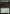 Thornweald Archer [Duel Decks: Nissa vs. Ob Nixilis] - Magic: The Gathering - Card Brawlers | Quebec | Canada |