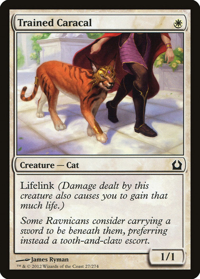 Trained Caracal [Return to Ravnica] - Magic: The Gathering - Card Brawlers | Quebec | Canada |
