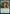 Instrument of the Bards (Promo Pack) [Dungeons & Dragons: Adventures in the Forgotten Realms Promos] - Magic: The Gathering - Card Brawlers | Quebec | Canada |
