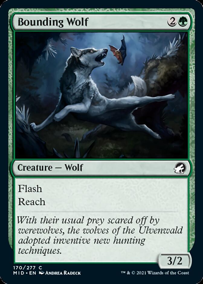 Bounding Wolf [Innistrad: Midnight Hunt] - Magic: The Gathering - Card Brawlers | Quebec | Canada |