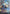 Persistent Petitioners (598) [Secret Lair Drop Promos] - Magic: The Gathering - Card Brawlers | Quebec | Canada |