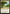 Exotic Orchard [Phyrexia: All Will Be One Commander] - Magic: The Gathering - Card Brawlers | Quebec | Canada |