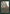 Wall of Brambles [Alpha Edition] - Magic: The Gathering - Card Brawlers | Quebec | Canada |