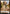 Human Double-Sided Token [Challenger Decks 2020 Tokens] - Magic: The Gathering - Card Brawlers | Quebec | Canada |