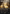 Worship (Borderless) [The Lord of the Rings: Tales of Middle-Earth Commander] - Magic: The Gathering - Card Brawlers | Quebec | Canada |