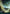 Forest (244) (Orbital Space-ic Land) [Unfinity] - Magic: The Gathering - Card Brawlers | Quebec | Canada |