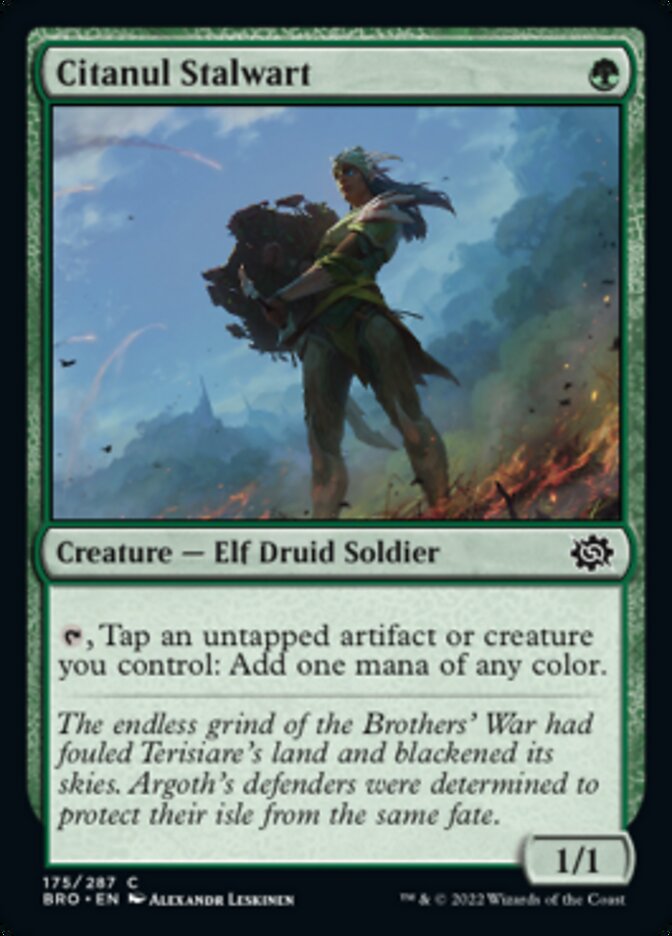 Citanul Stalwart [The Brothers' War] - Magic: The Gathering - Card Brawlers | Quebec | Canada |