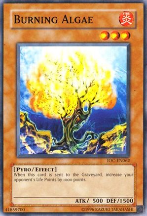 Burning Algae [IOC-EN062] Common - Yu-Gi-Oh! - Card Brawlers | Quebec | Canada |