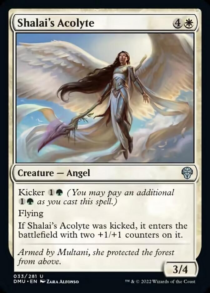 Shalai's Acolyte [Dominaria United] - Magic: The Gathering - Card Brawlers | Quebec | Canada |