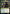 King Darien XLVIII (Promo Pack) [Dominaria United Promos] - Magic: The Gathering - Card Brawlers | Quebec | Canada |