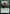 Llanowar Loamspeaker [Dominaria United Prerelease Promos] - Magic: The Gathering - Card Brawlers | Quebec | Canada |