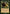 Evolutionary Leap (Timeshifted) [Time Spiral Remastered] - Magic: The Gathering - Card Brawlers | Quebec | Canada |