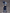 Orange Rouge - Nendoroid - Doll Ciel Phantomhive - (PREORDER) March 15, 2027