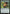 Elvish Reclaimer (Promo Pack) [Core Set 2020 Promos] - Magic: The Gathering - Card Brawlers | Quebec | Canada |