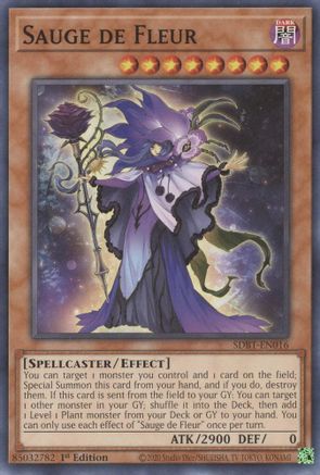 Sauge de Fleur [SDBT-EN016] Common - Yu-Gi-Oh! - Card Brawlers | Quebec | Canada |