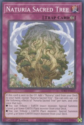 Naturia Sacred Tree [SDBT-EN037] Common - Yu-Gi-Oh! - Card Brawlers | Quebec | Canada |