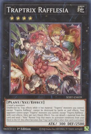 Traptrix Rafflesia [SDBT-EN039] Common - Yu-Gi-Oh! - Card Brawlers | Quebec | Canada |