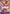 Little Sadi (Alternate Art) (OP02-073) - Paramount War Foil
