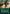 Green Dragon (Borderless Alternate Art) [Dungeons & Dragons: Adventures in the Forgotten Realms] - Magic: The Gathering - Card Brawlers | Quebec | Canada |